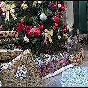 Mila joined the competition — help win amazing prizes! air_purifier, carpet, cat, christmas_baubles, christmas_bows, christmas_tree, cozy, decorations, festive, floor, gray_cat, holiday, holiday_spirit, indoor, package, pet, presents, red_bow, ribbons, wrapped_gifts