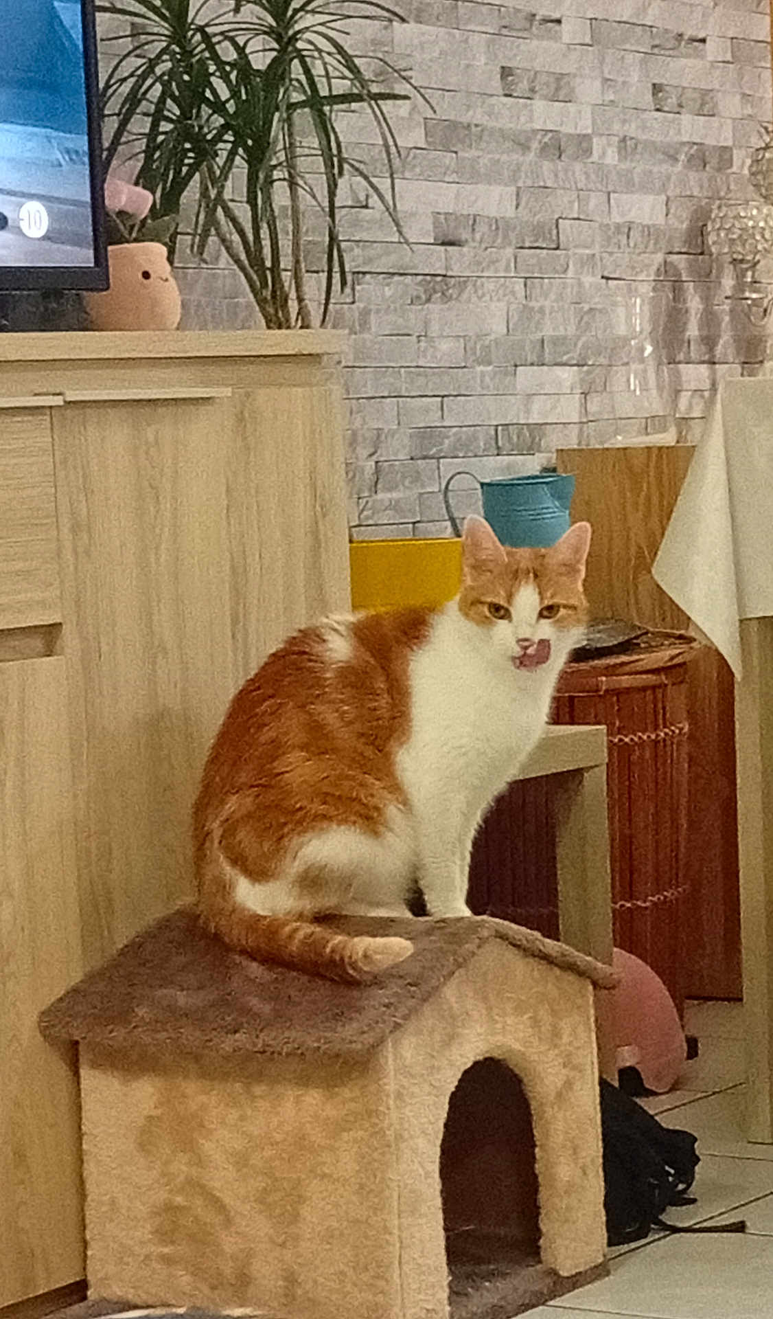 Félix