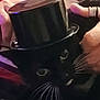 cat, black_cat, whiskers, top_hat, hand, rings, pet, portrait, close_up, indoor, cozy, cute, animal, feline, domestic_cat, black_fur, white_whiskers, accessory, holding, colorful_background
