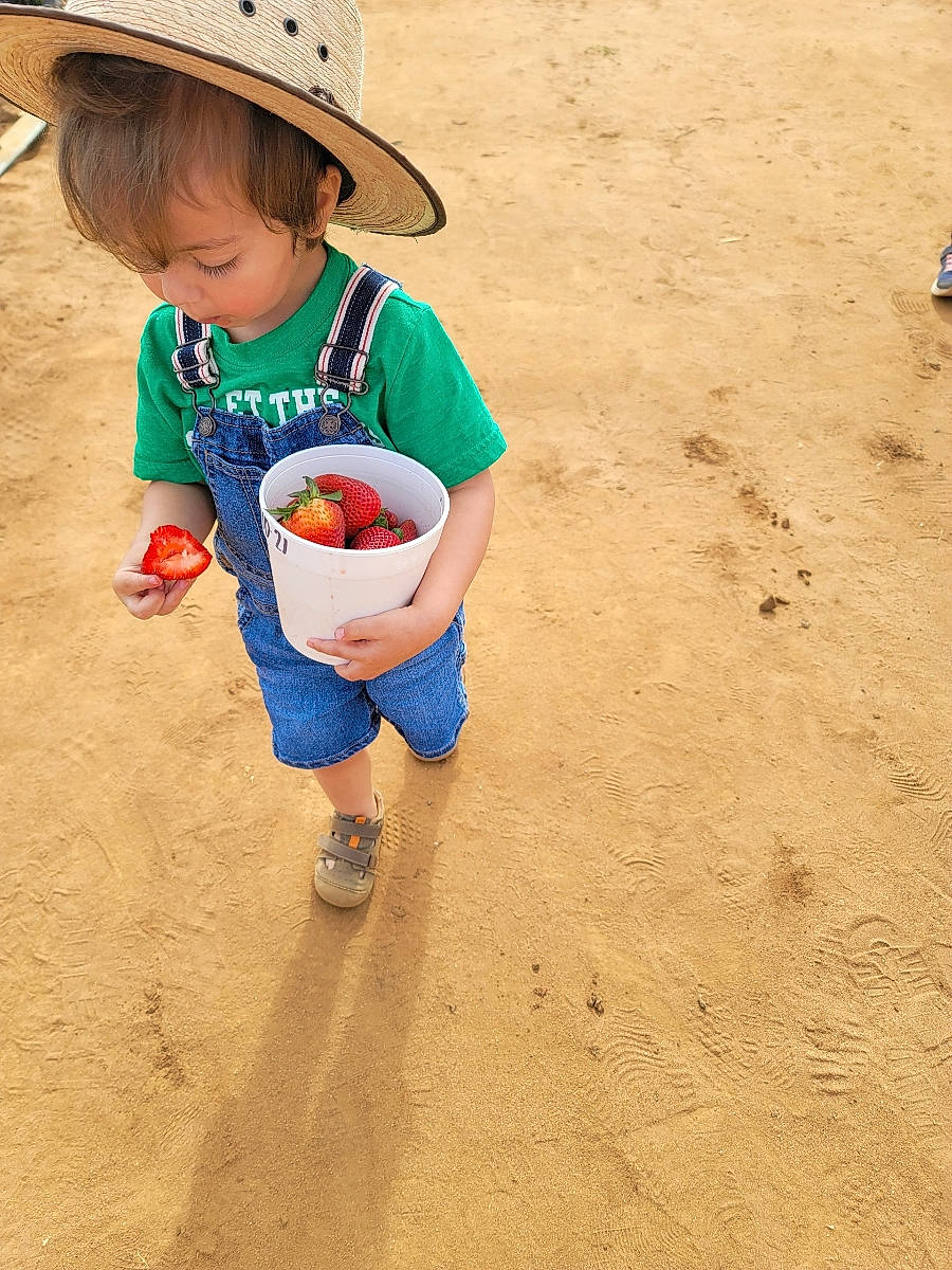 Aldo joined the competition — help win amazing prizes! baby, bucket, child, fashion_accessory, fun, happy, hat, landscape, leisure, people_in_nature, person, play, recreation, sand, sitting, soil, sun_hat, t_shirt, toddler, vacation