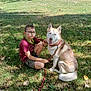 boy, child, glasses, dog, husky, leash, grass, outdoor, park, tree, sunlight, casual_clothing, shorts, sitting, pet, animal, smiling_dog, nature, daytime, happy