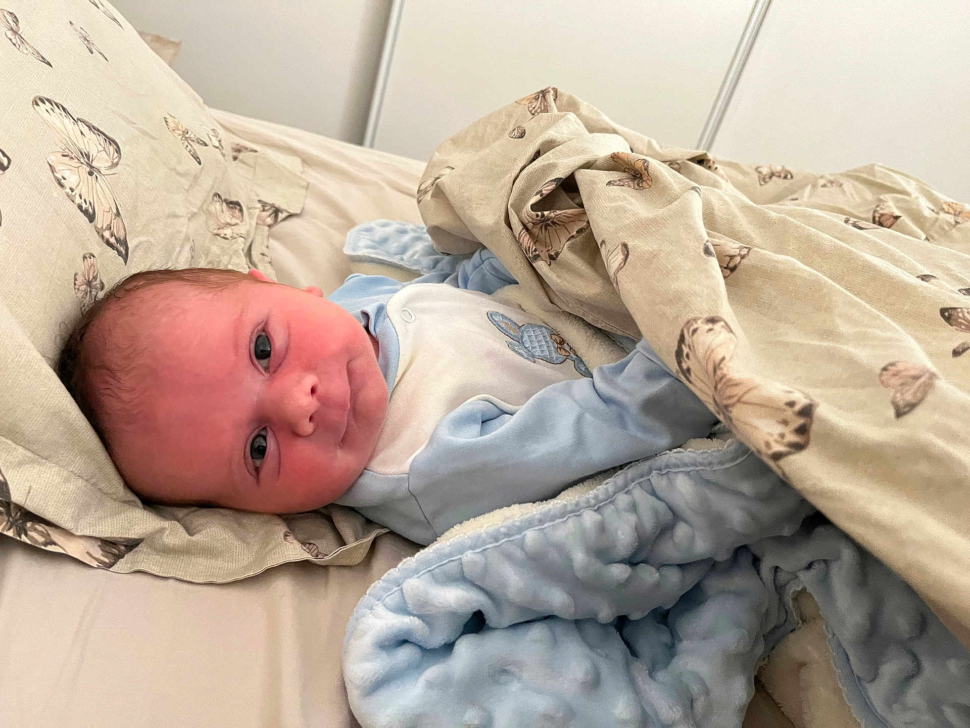 Théo a rejoint le concours — aidez-le/la à gagner de superbes lots ! baby, blanket, bed, butterfly_pattern, child, clothing, comfort, cute, face, infant, laying, pillow, portrait, resting, soft_texture, toddler, wearing, young_child, indoor, sleepwear