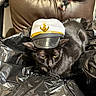 animal, black_cat, captain_hat, cat, cute, domestic_animal, ears, eyes, feline, fur, hat, headwear, indoor, leather_chair, pet, plastic_sheet, portrait, resting, sitting, whiskers