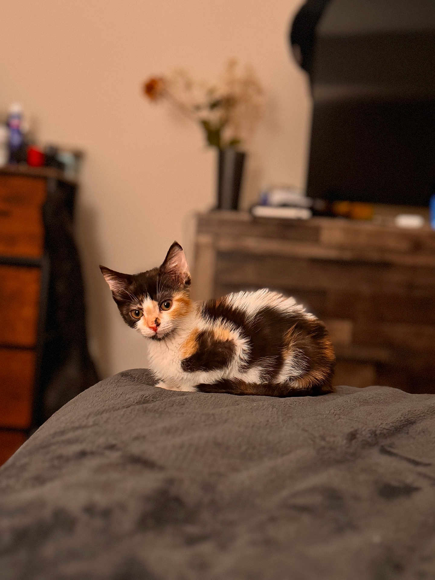 Pebbles