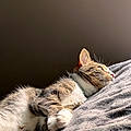 Emma L.