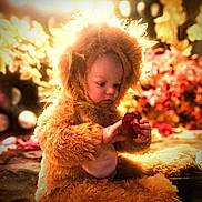 Raiden joined the competition — help win amazing prizes! bokeh, brown_hair, child, costume, cozy, cute, face, festive, flowers, furry_outfit, holding_object, holiday_lights, indoor, photography, portrait, red_object, sitting, soft_focus, toddler, warm_lighting