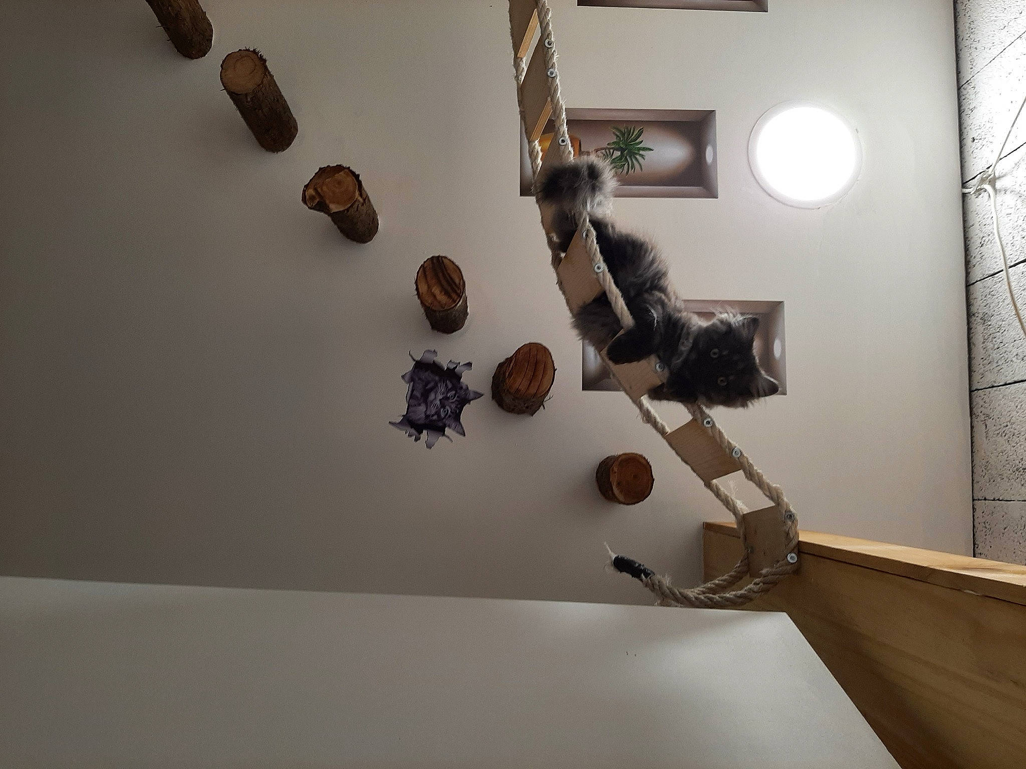 Una participe au concours pour gagner de l'argent avec cette photo : art, artifact, brown, ceiling, circle, composite_material, flooring, hardwood, light_fixture, metal, picture_frame, plaster, room, stairs, still_life_photography, tints_and_shades, tourist_attraction, twig, visual_arts, wood