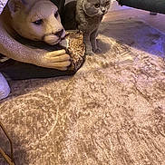 Mimi a rejoint le concours — aidez-le/la à gagner de superbes lots ! cat, dog_statue, gray_cat, animal, pet, indoors, living_room, carpet, table, furniture,  statue, realistic_figurine, standing, sitting, wide_eyes, household, portrait, purple_lighting, cozy, humorous