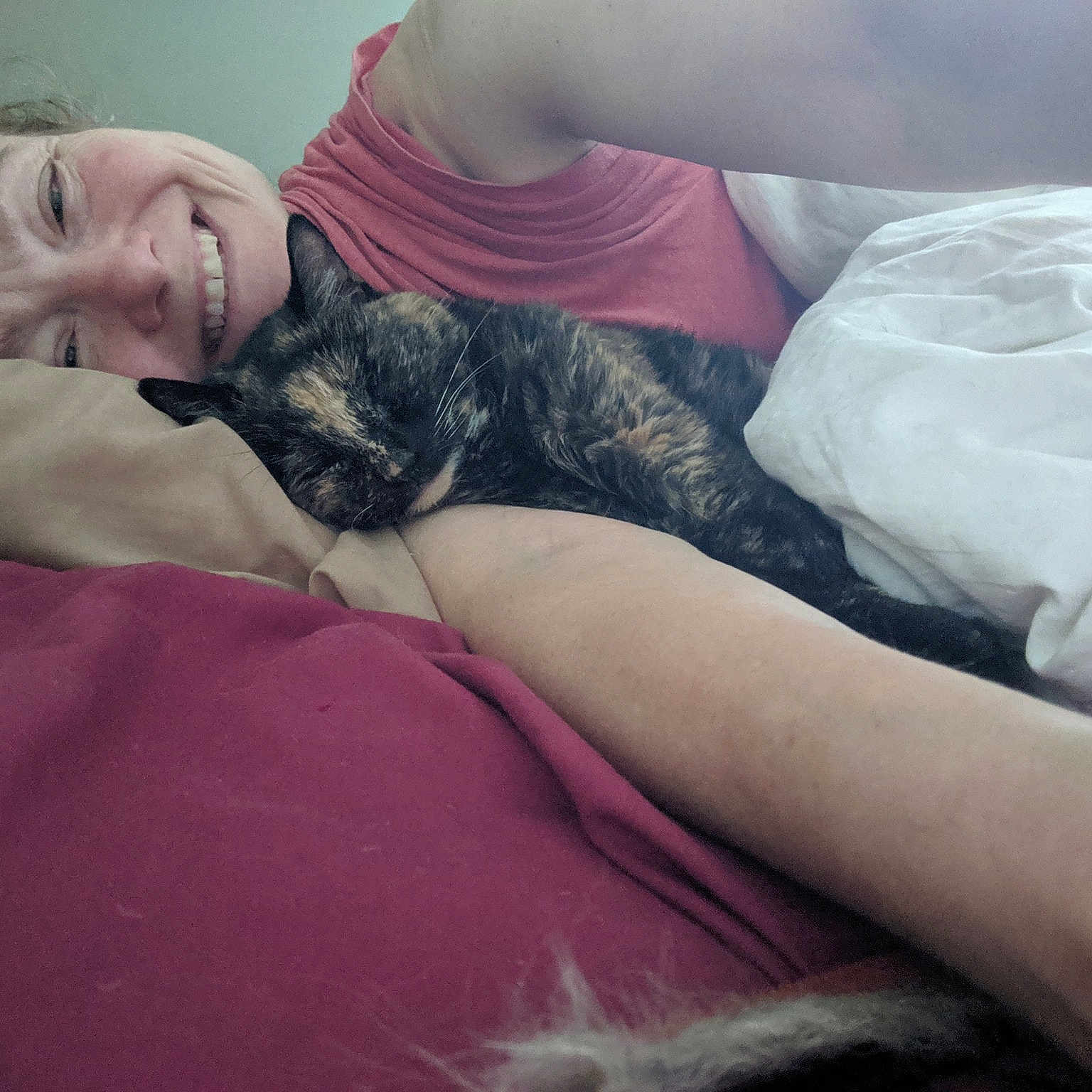 Amanda Cook Cooper Beltane joined the competition — help win amazing prizes! arm, carnivore, cat, comfort, domestic_short_haired_cat, ear, felidae, fur, furniture, human, kitten, leg, nap, neck, shoulder, skin, sleep, small_to_medium_sized_cats, whiskers