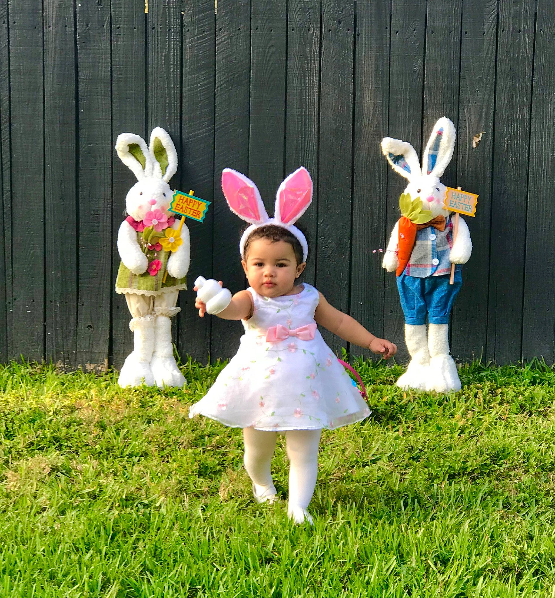 Mia Isabella joined the competition — help win amazing prizes! ear, easter, easter_bunny, grass, holiday, person, rabbits_and_hares