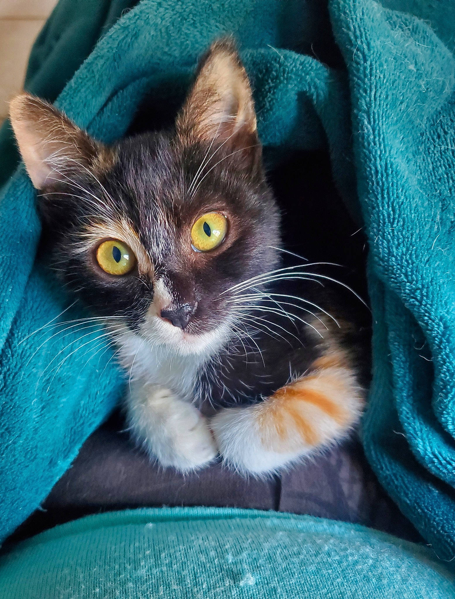 Mia