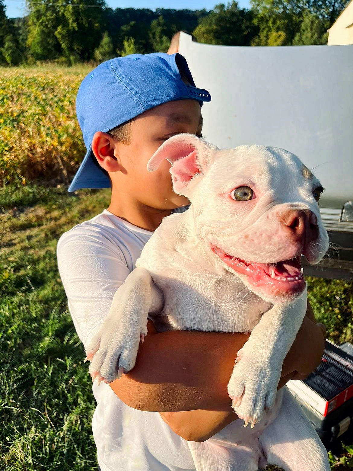 Yüna a rejoint le concours — aidez-le/la à gagner de superbes lots ! baseball_cap, canidae, cap, carnivore, companion_dog, dog, dog_breed, fawn, fur, gesture, grass, happy, livestock, plant, sky, snout, sporting_group, t_shirt, tree, working_animal