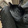 black_cat, cat, pet, fur, animal, indoor, cozy, resting, furniture, wood, ear, back, texture, blanket, rug, soft, home, comfort, relaxation, companion