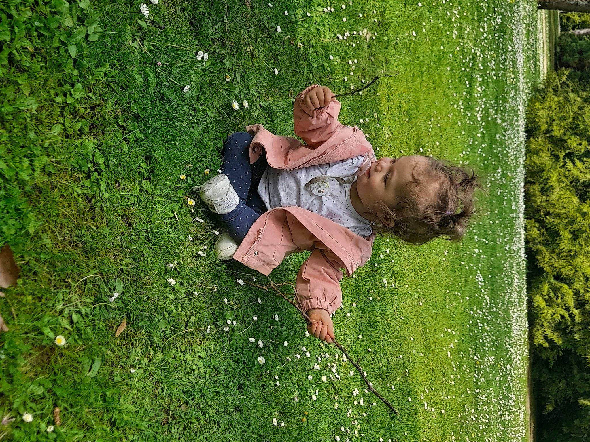 Abigaelle participe au concours pour gagner de l'argent avec cette photo : fun, garden, grass, grass_family, grassland, green, groundcover, happy, landscape, lawn, leisure, meadow, pasture, people_in_nature, person, plant, recreation, shrub, sitting, toddler