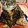 Tigger