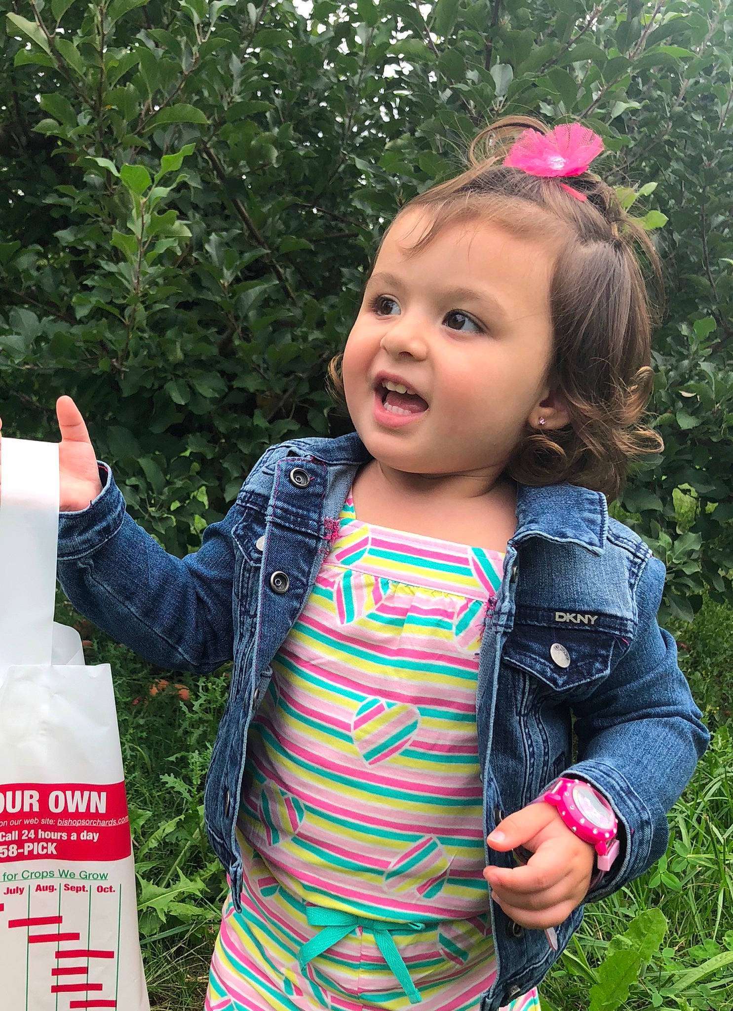 Giuliana is registered to the contest to win money with this photo: baby, child, finger, grass, happy, person, pink, play, summer, toddler, vacation