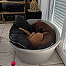 dog, sleeping, bed, cushion, plastic_tub, tile_floor, window, blinds, television, shelf, electronics, decor, pineapple_decoration, indoor, living_room, brown_dog, relaxing, pet, cozy, home