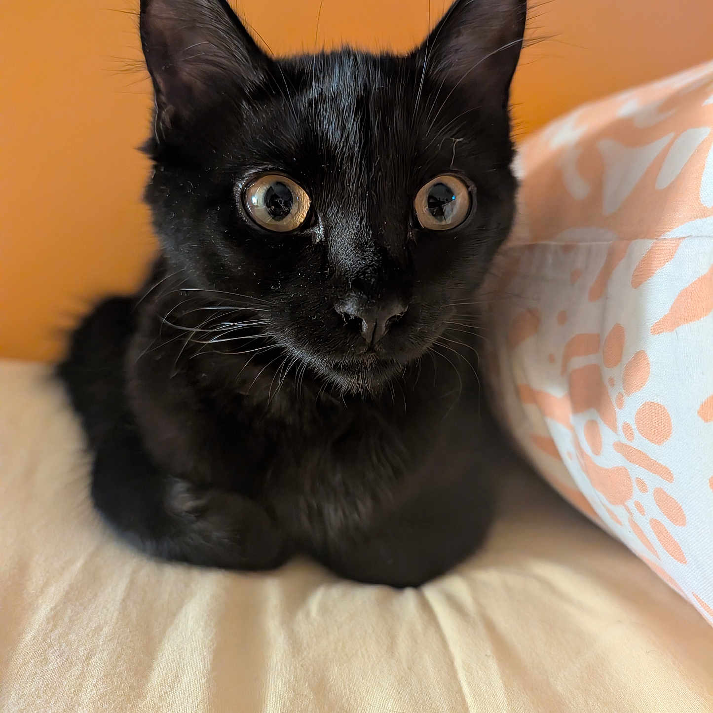 Winnie
