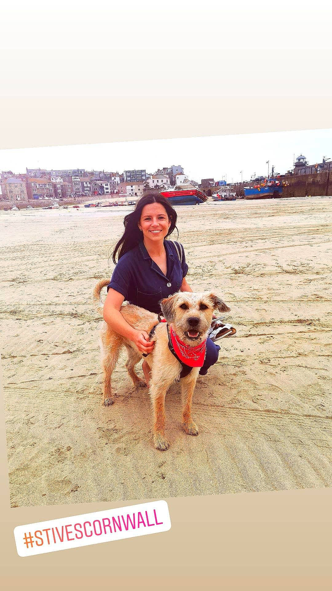 Bobby is registered to the contest to win money with this photo: beach, body_of_water, carnivore, companion_dog, dog, dog_breed, dog_supply, fawn, fun, happy, leash, people_in_nature, people_on_beach, sand, sky, smile, sunglasses, thigh, travel, working_animal