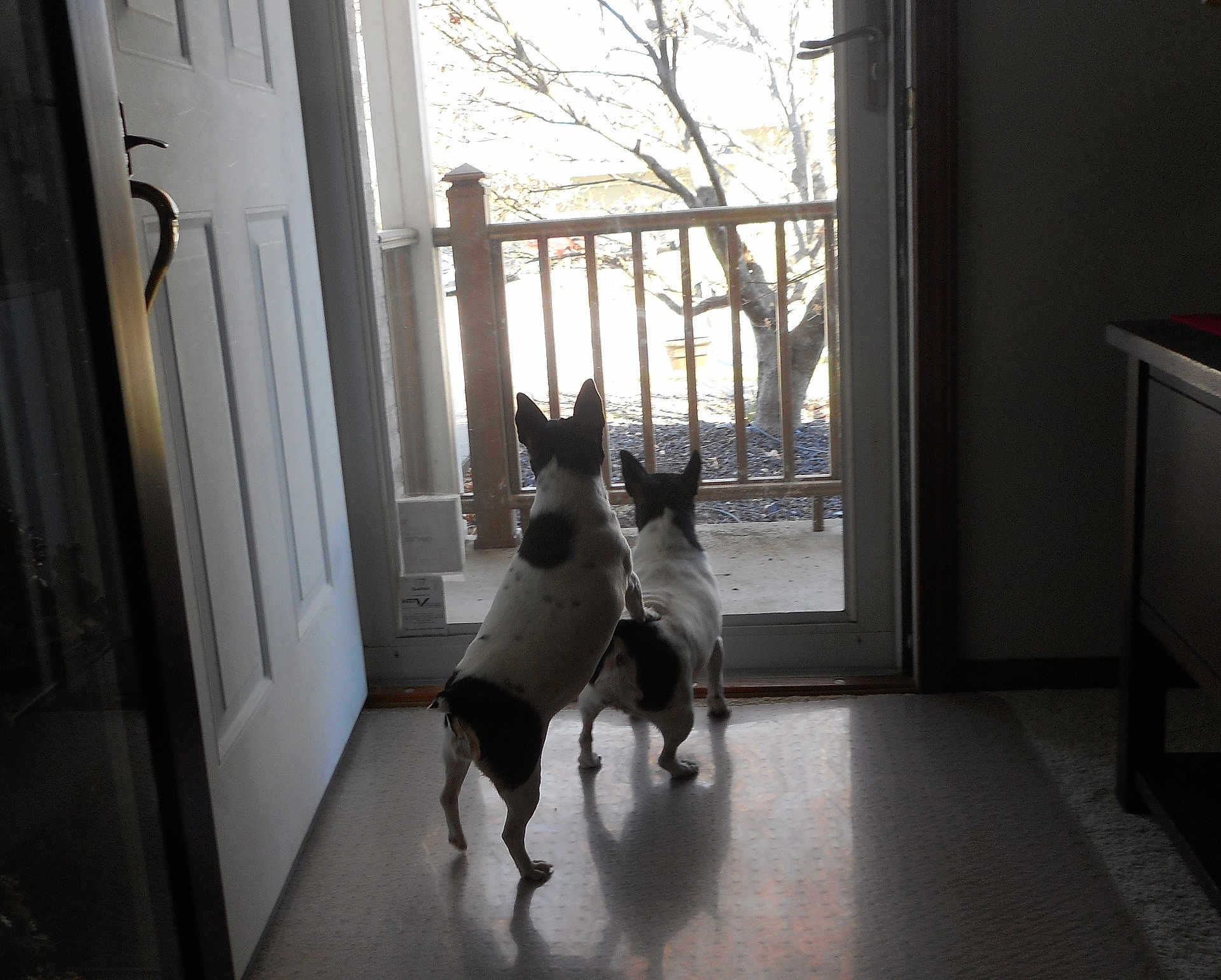 Mindy And Abby