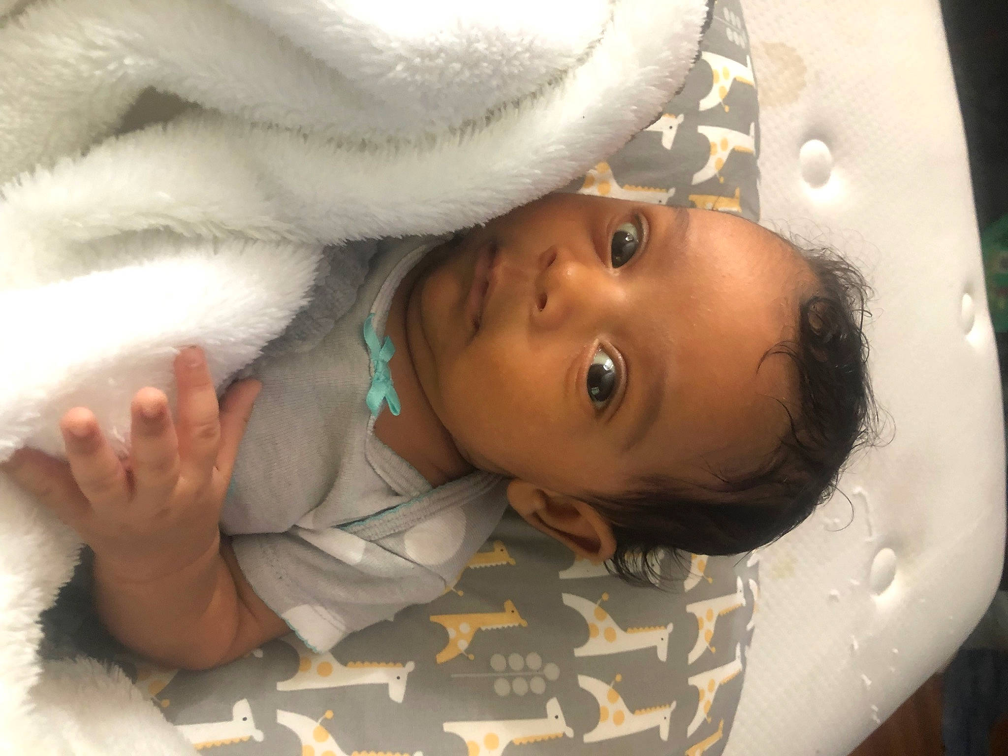 Lynette joined the competition — help win amazing prizes! baby, cheek, chest, child, comfort, eye, eyebrow, eyelash, face, facial_expression, flash_photography, happy, head, linens, lip, mouth, nose, person, skin, toddler