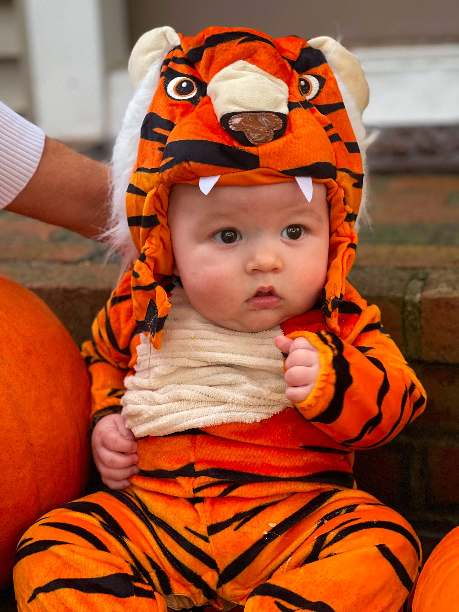 Paxton is registered to the contest to win money with this photo: baby, baby_toddler_clothing, beanie, calabaza, cap, cheek, child, costume, eye, fashion_accessory, fun, gourd, happy, headwear, knit_cap, orange, pattern, person, personal_protective_equipment, plant