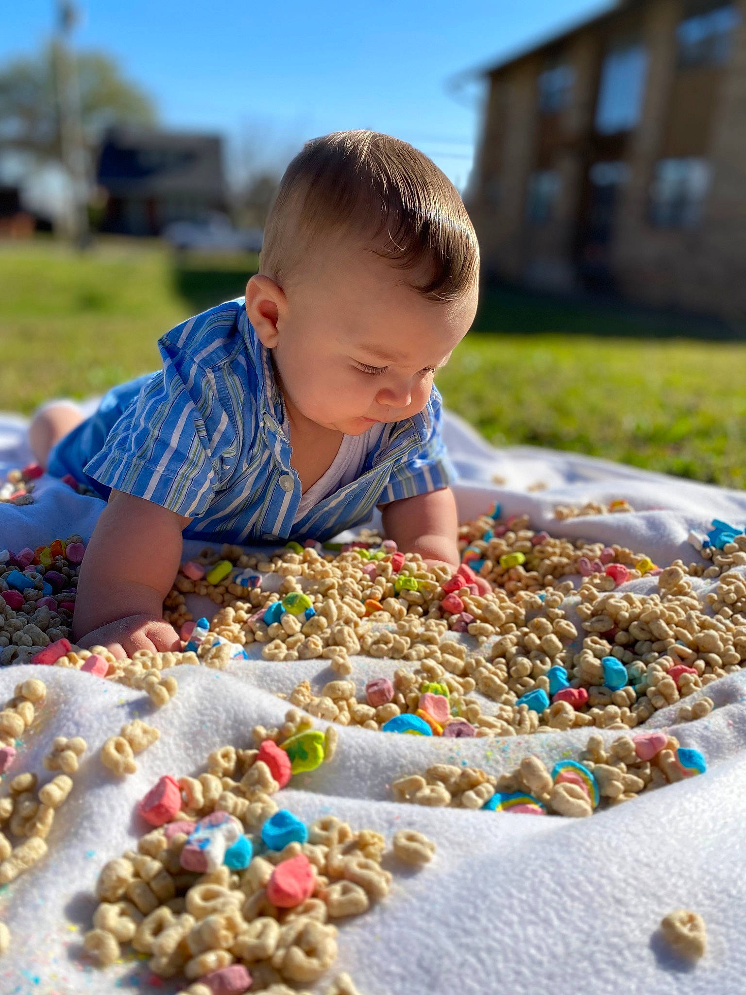 Nehemiah joined the competition — help win amazing prizes! baby, baby_toddler_clothing, child, event, fun, grass, happy, leisure, mixture, people_in_nature, person, plant, play, recreation, sitting, sky, soil, sweetness, toddler, tree