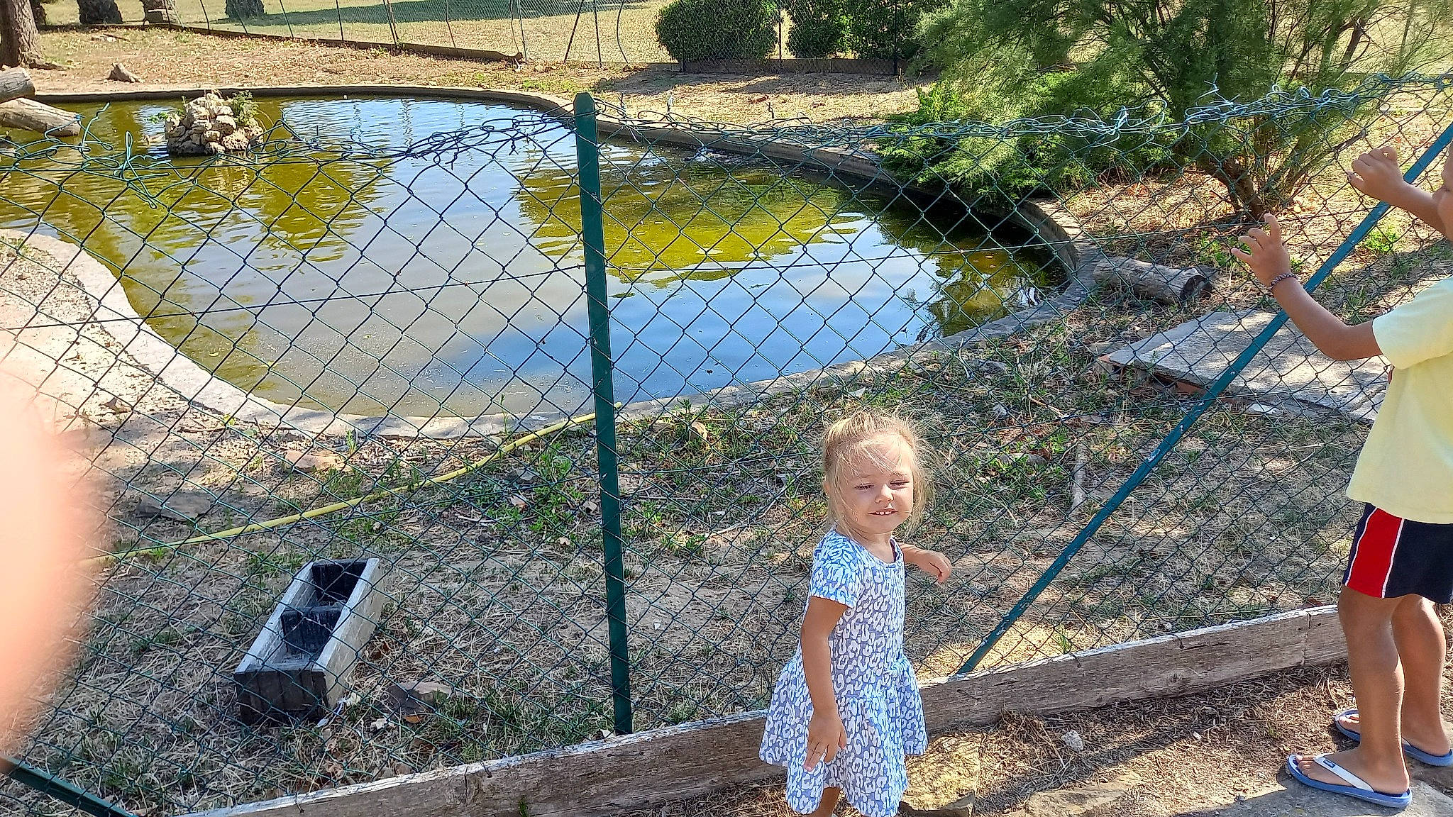 Lyana participe au concours pour gagner de l'argent avec cette photo : botany, bridge, chain_link_fencing, dress, fence, garden, grass, landscape, leisure, natural_landscape, net, people_in_nature, person, plant, recreation, reservoir, spring, toddler, tree, water