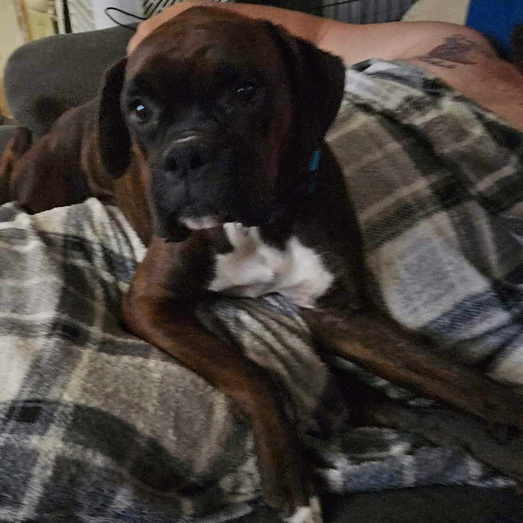 Minnie