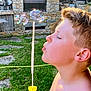 Maël participe au concours pour gagner de l'argent avec cette photo : boy, bubble_wand, casual, child, daylight, face, fireplace, fun, garden, grass, greenery, hand, nature, outdoor, playing, profile, soap_bubbles, stone_wall, summer, sunlight