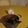 kitten, cat, pot, table, candle, chair, indoor, curious, black_cat, feline, household, dining_room, furniture, pet, animal, cozy, domestic, cute, mischievous, warm_lighting
