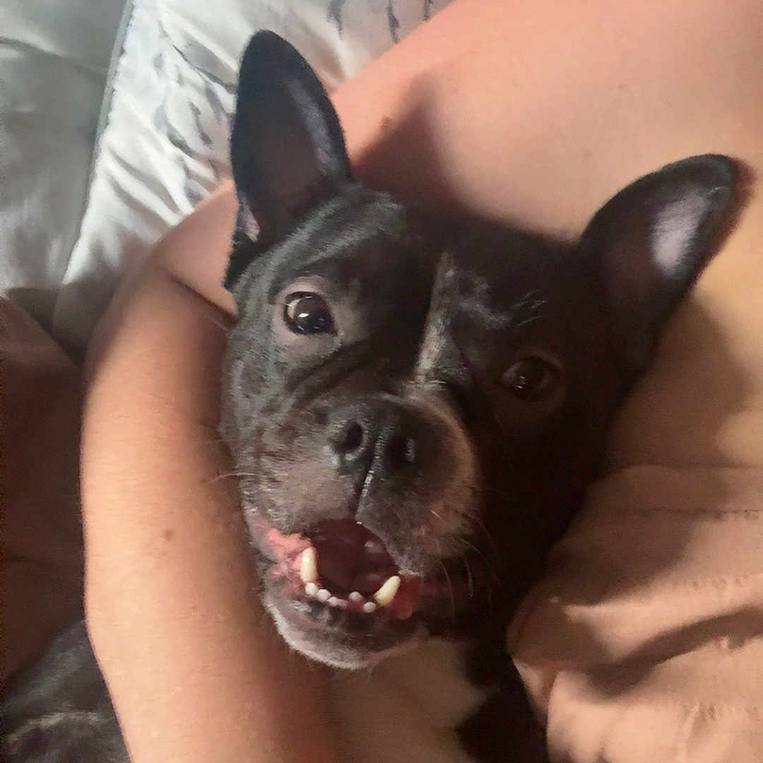 Luna