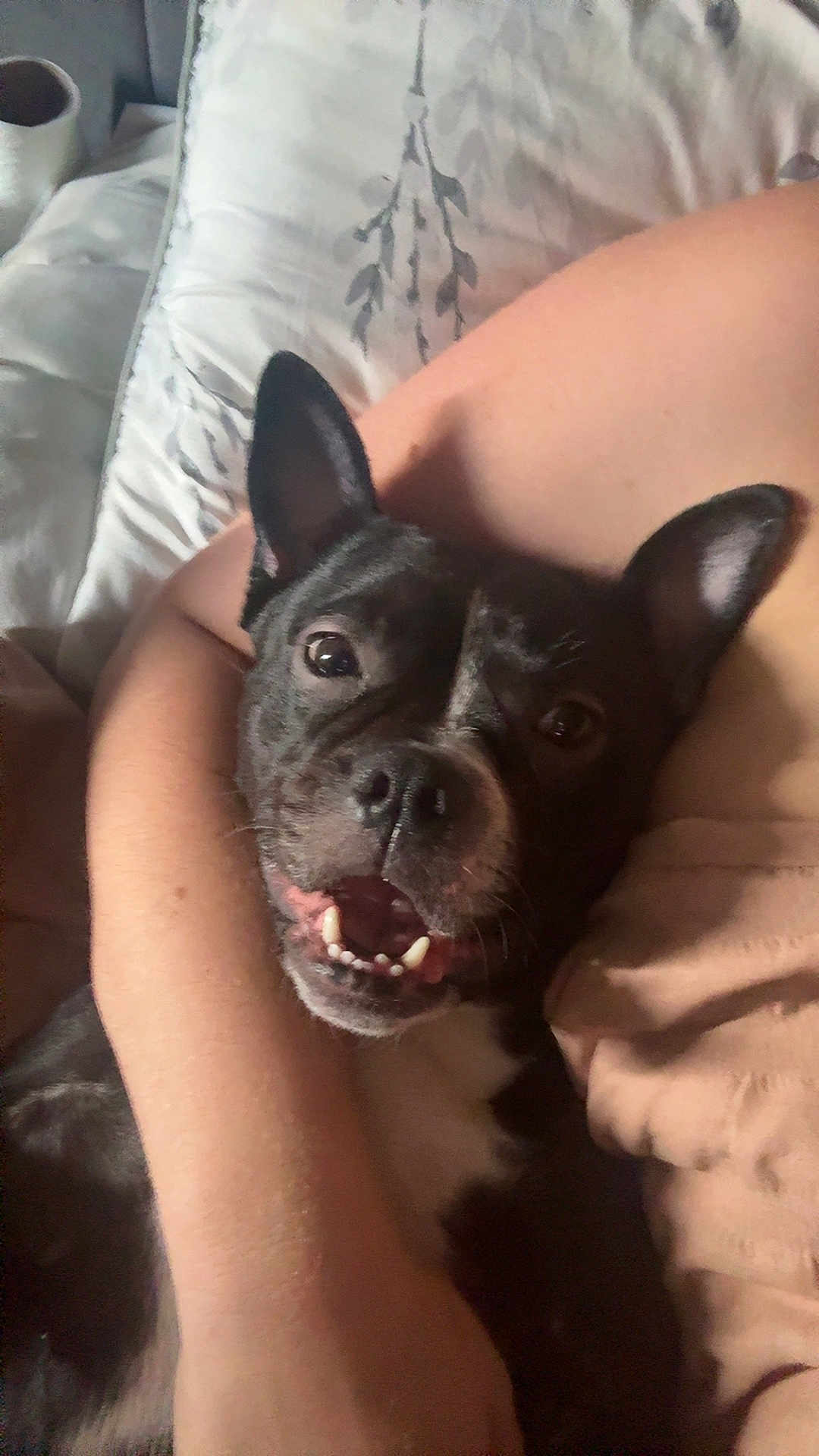Luna