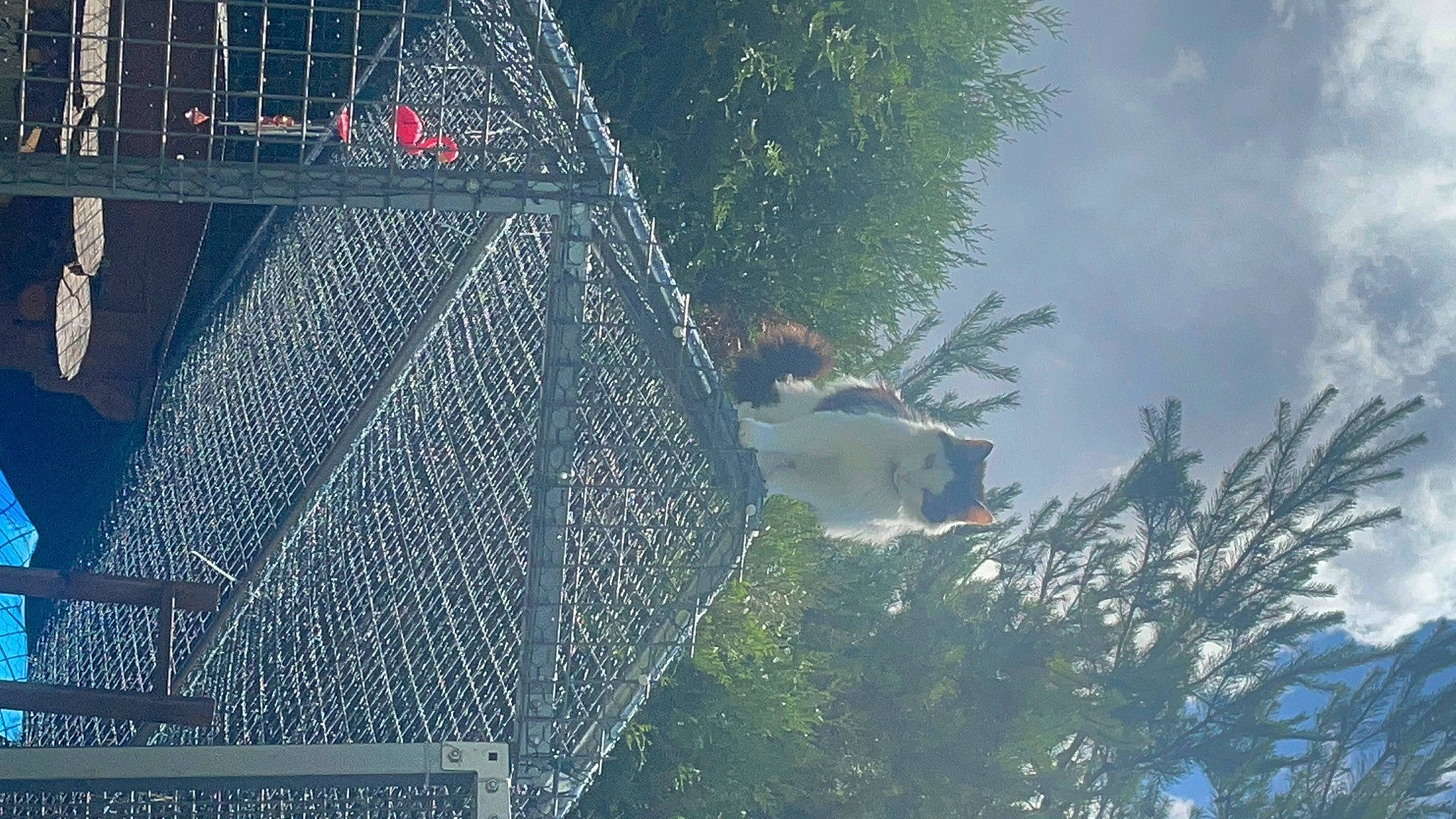 Titine participe au concours pour gagner de l'argent avec cette photo : building, city, facade, font, glass, grass, landscape, leisure, mesh, net, plant, public_utility, reflection, roof, sky, slope, space, tree, urban_design, world