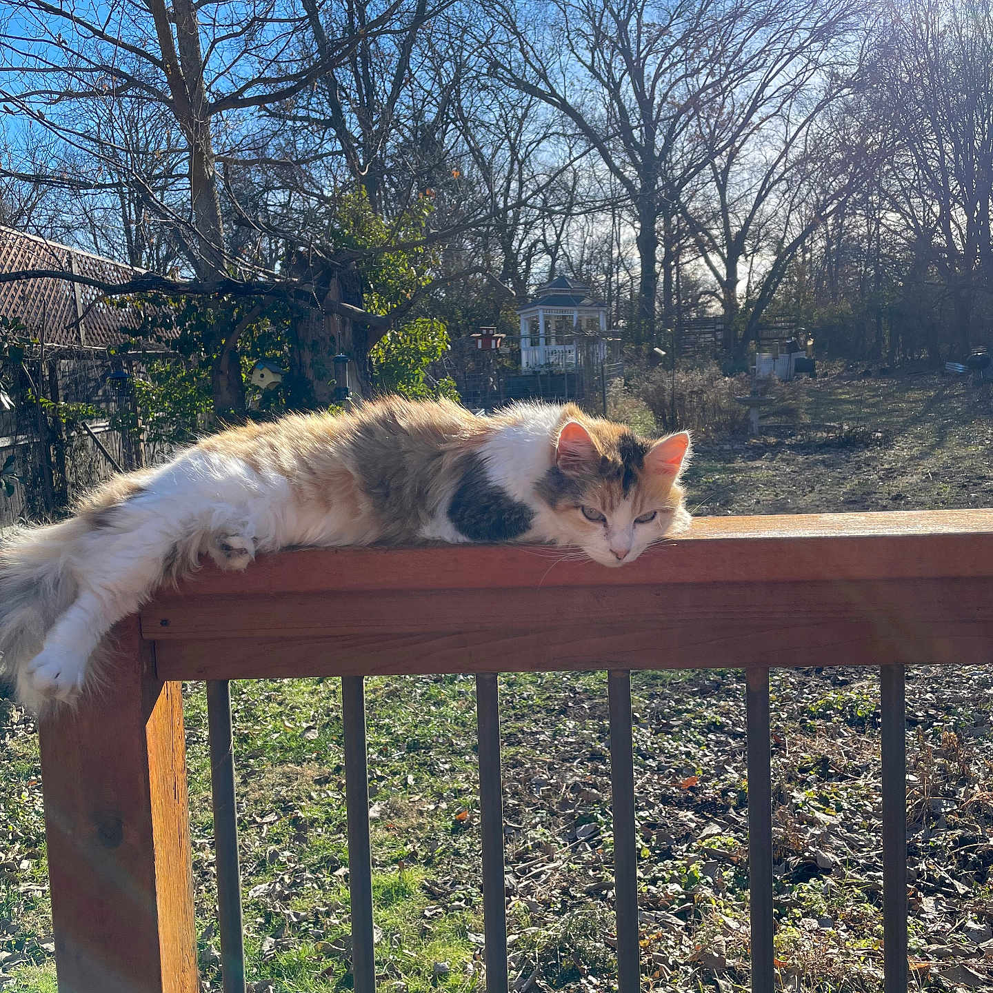Sita