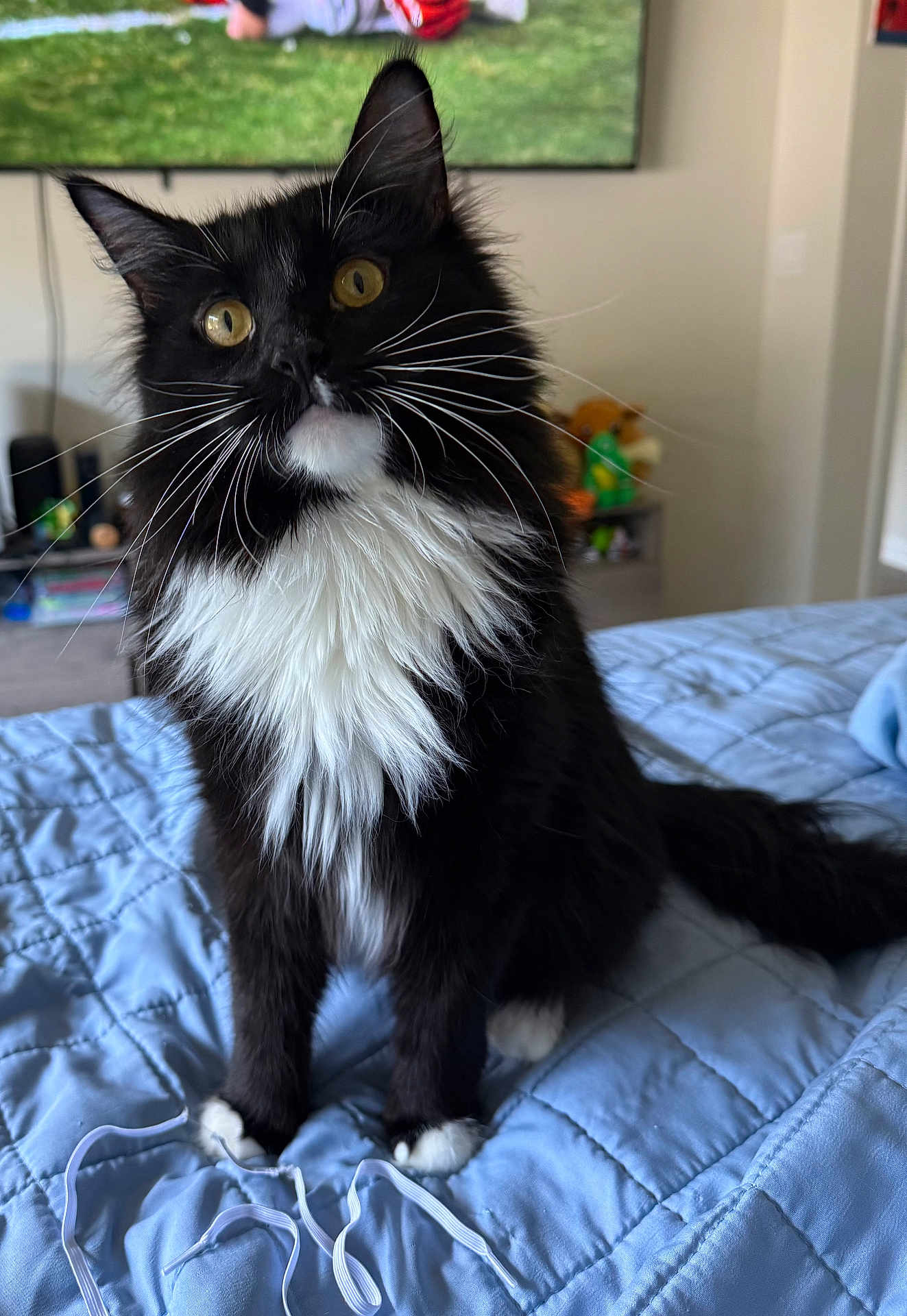 Handsome