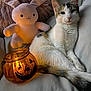 cat, calico_cat, plush_toy, bunny, jack_o_lantern, candle_holder, couch, soft_fabric, relaxed, indoor, cozy, autumn, decor, pet, animal, white_background, orange_light, feline, stuffed_animal, home