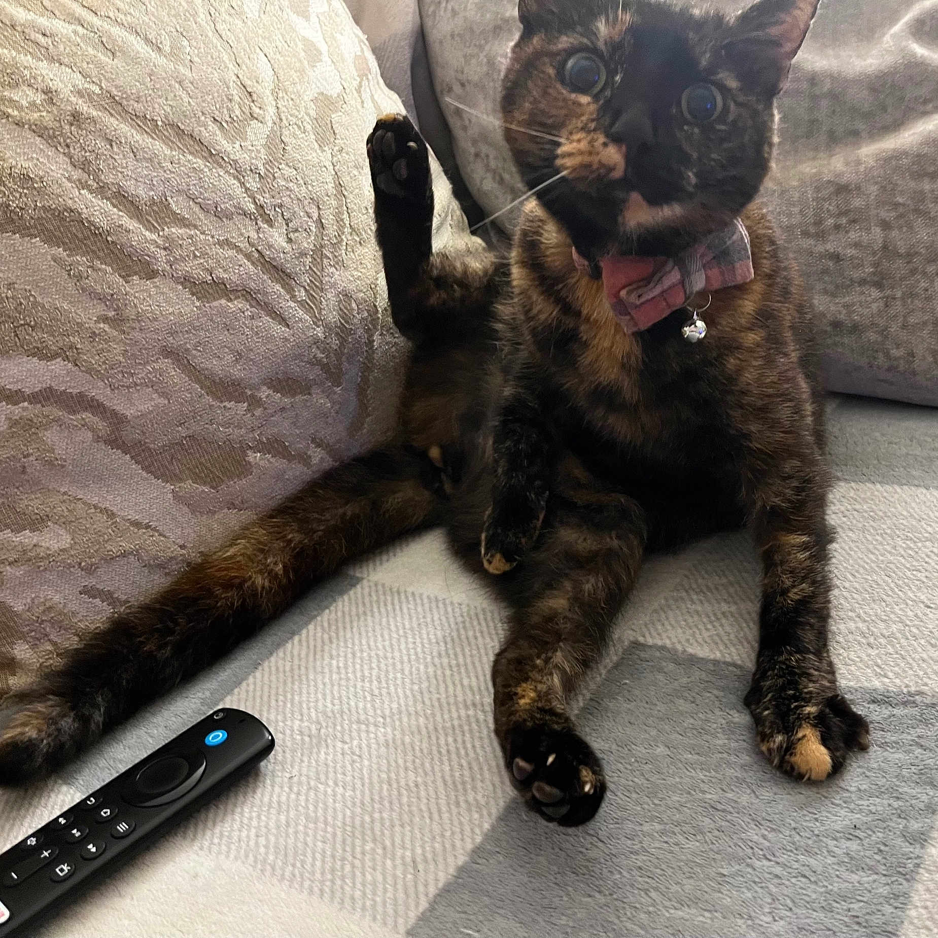Harley
