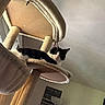 cat, black_and_white_cat, cat_tree, indoor, furniture, pet, relaxed, looking_down, multi_level, beige, curious, animal, household, lamp, wall_art, framed_pictures, calm, resting, soft_lighting, cozy