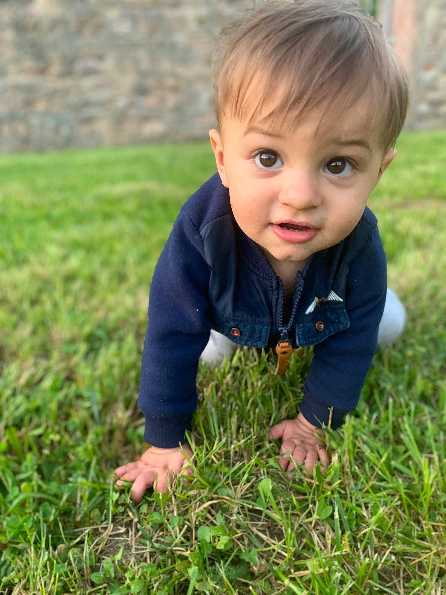 Nino participe au concours pour gagner de l'argent avec cette photo : baby, child, finger, grass, grass_family, green, hand, lawn, leaf, meadow, person, photography, plant, play, smile, soil, toddler