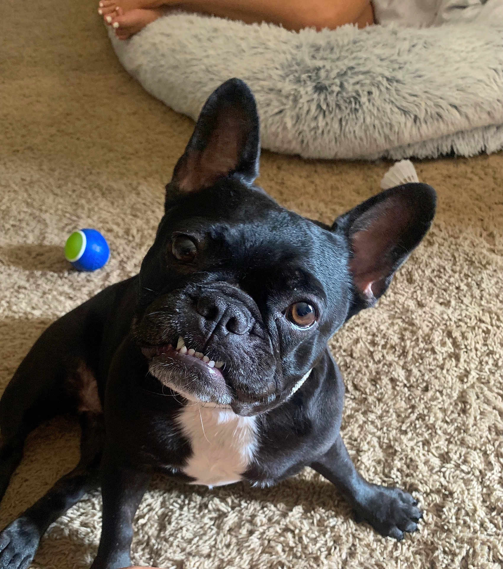 Lyla
