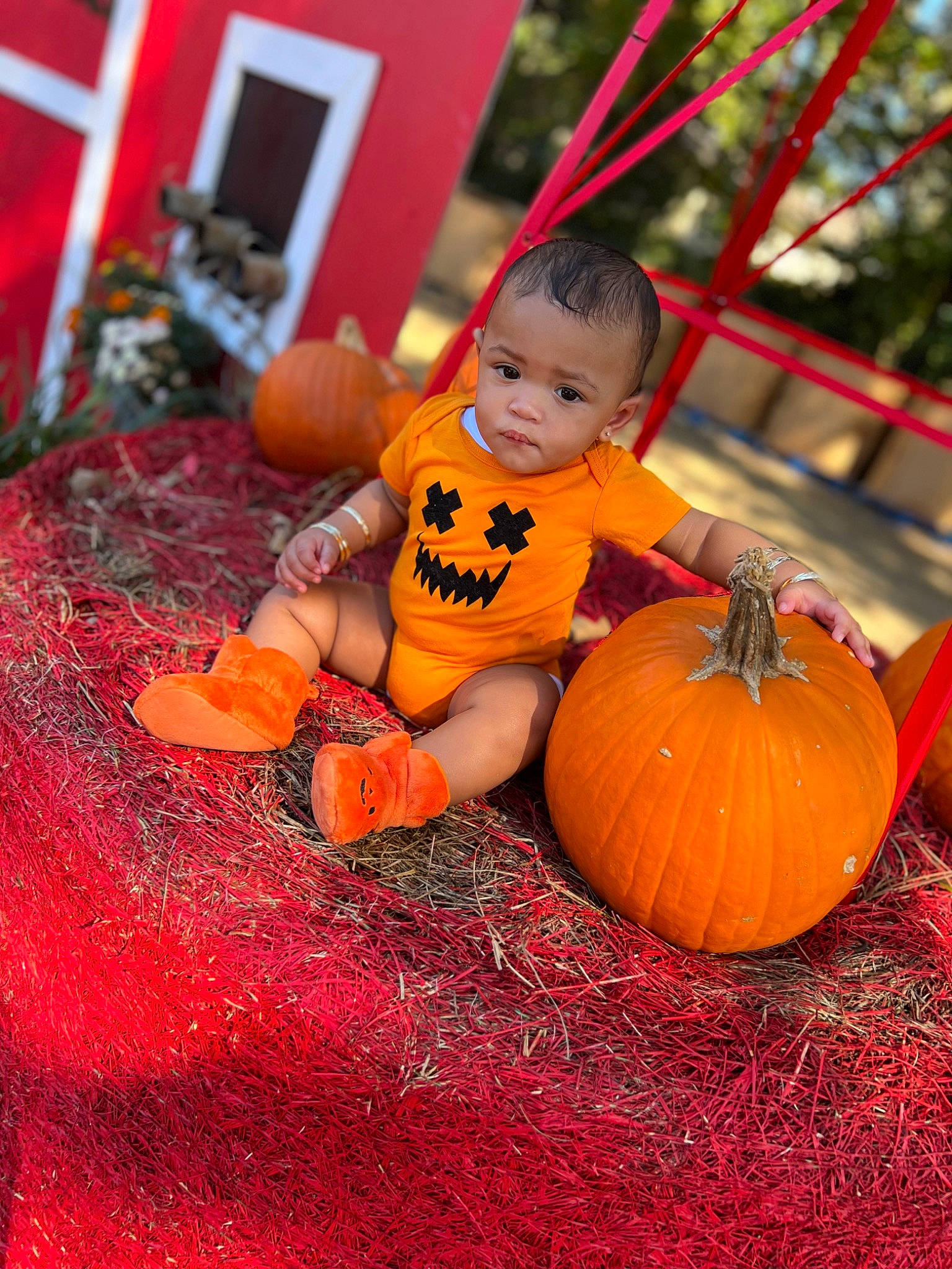 Empress joined the competition — help win amazing prizes! calabaza, cucurbita, eye, facial_expression, flooring, fun, gourd, grass, hand, happy, leaf, orange, people_in_nature, person, plant, pumpkin, squash, toddler, vegetable, winter_squash