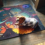 Rere is registered to the contest to win money with this photo: animal, beagle, blanket, boxer, bulldog, canine, dog, doormat, hardwood, homedecor, hound, indoors, interiordesign, labradorretriever, mat, pet, puppy, rug, slate, wood