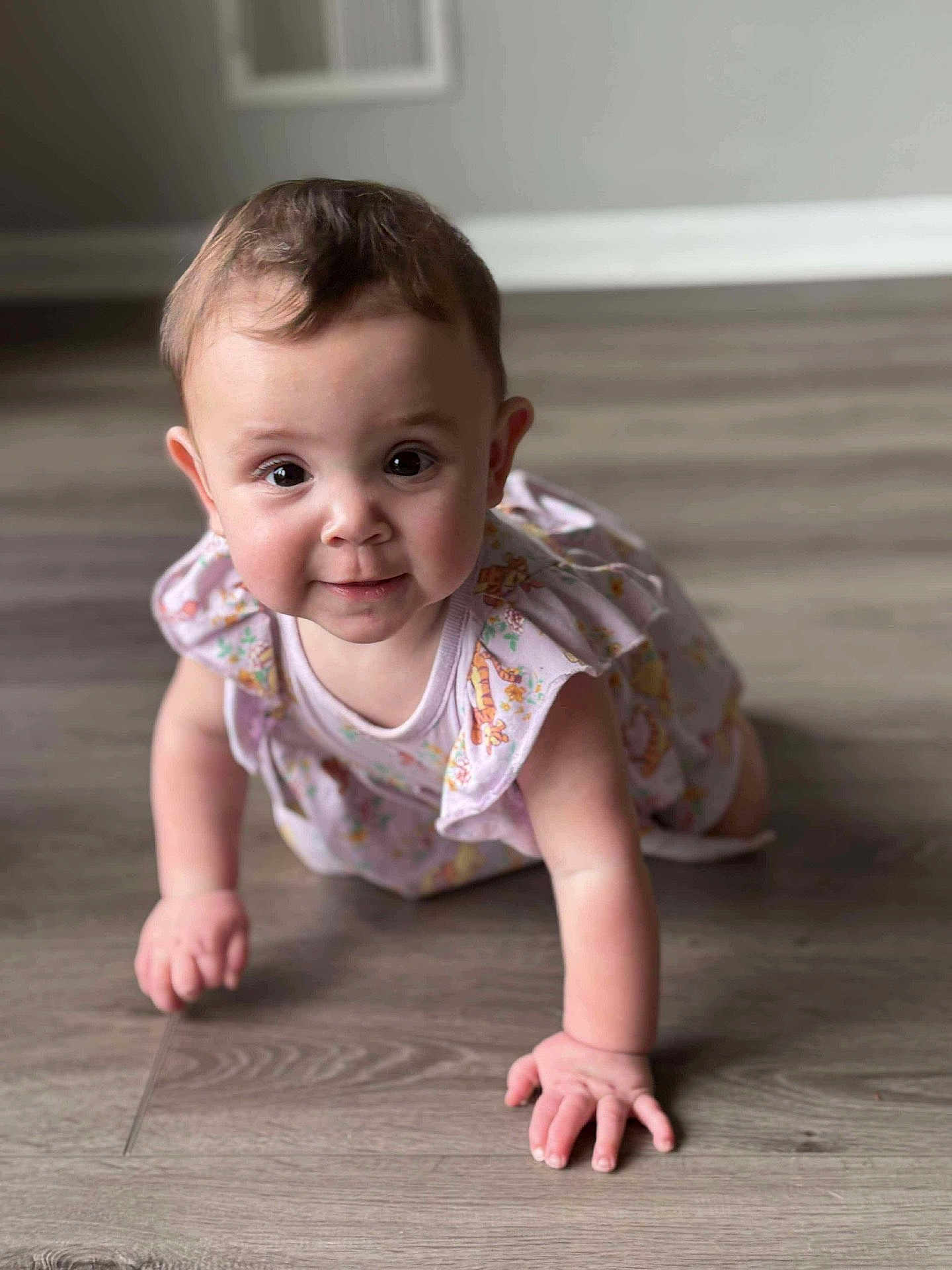 Amelia