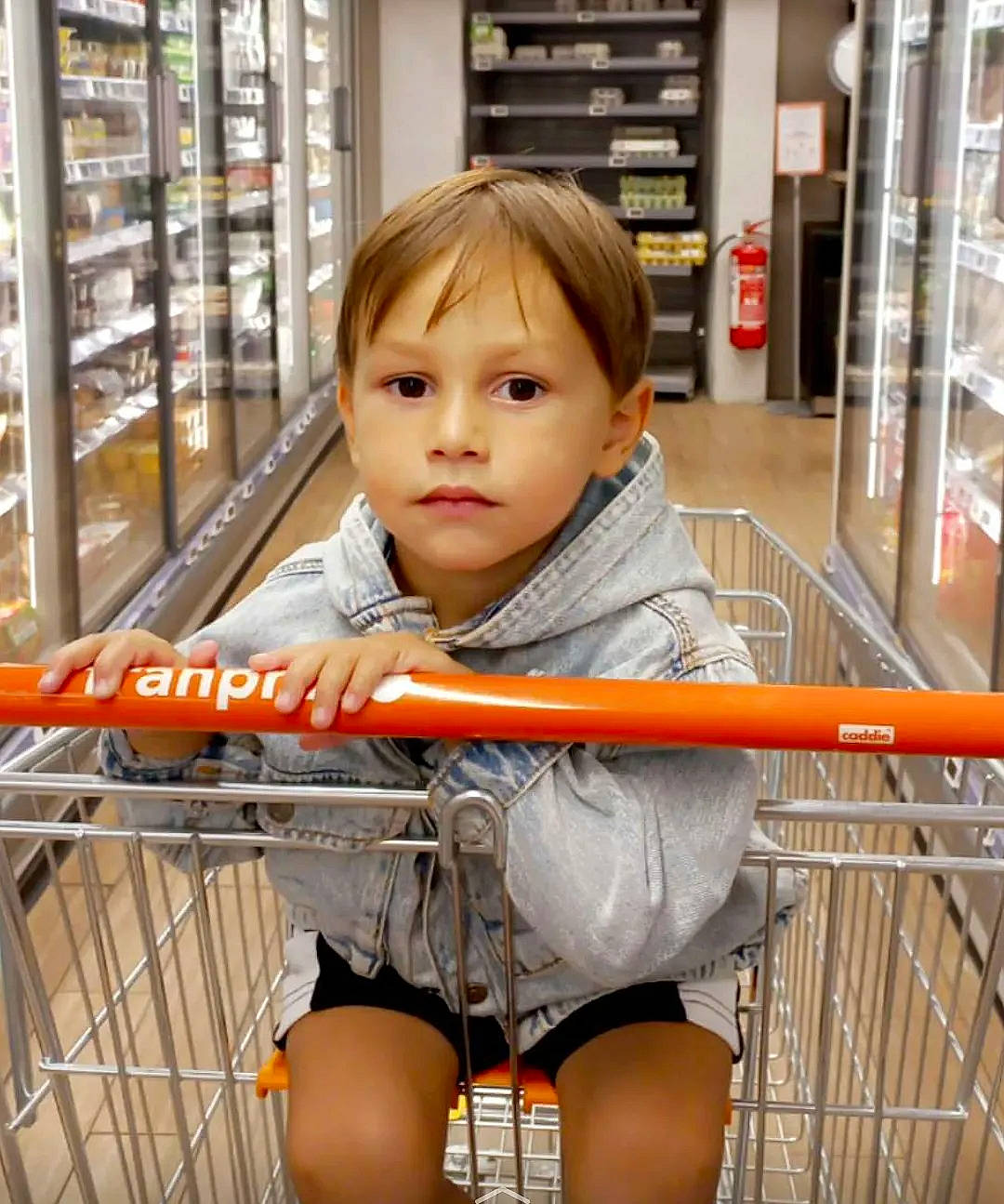 Lenny a rejoint le concours — aidez-le/la à gagner de superbes lots ! cart, child, chin, convenience_store, customer, grocery_store, hand, human_leg, person, product, retail, service, shelf, shelving, shopping_cart, shorts, sitting, skin, t_shirt, thigh