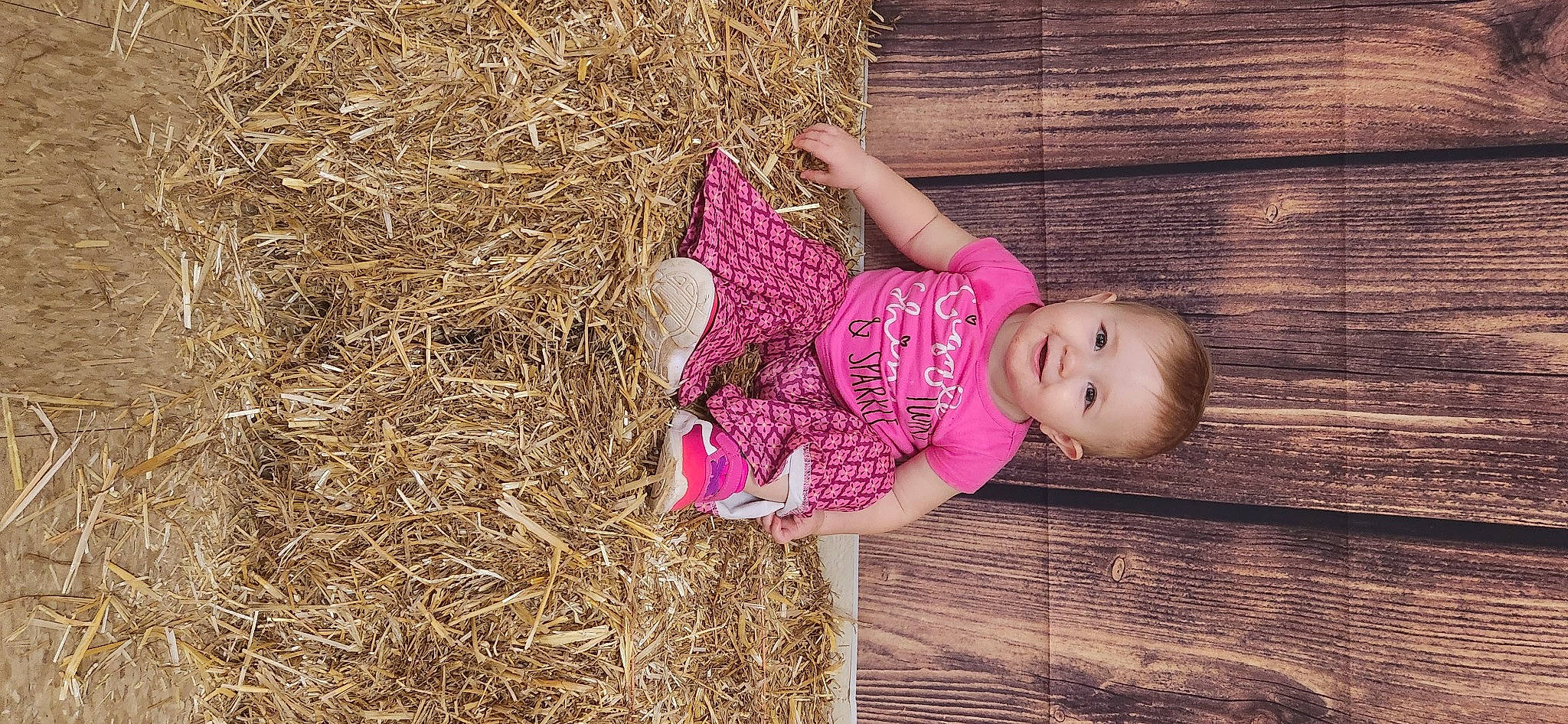 Meredith joined the competition — help win amazing prizes! agriculture, baby, baby_toddler_clothing, child, fun, grass, happy, hay, joy, lip, magenta, pattern, people_in_nature, person, plant, portrait_photography, sitting, skin, soil, toddler