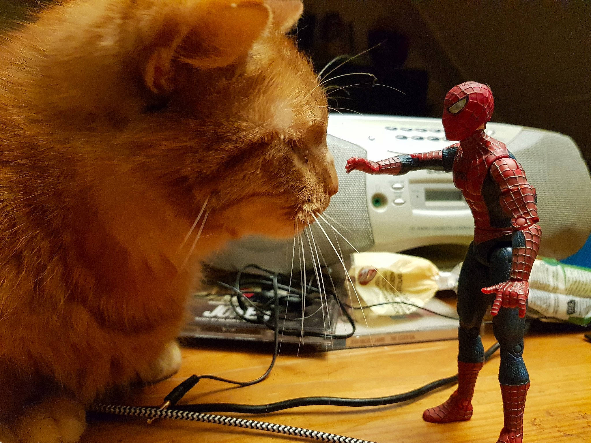 Loki a rejoint le concours — aidez-le/la à gagner de superbes lots ! audio_equipment, automotive_design, cable, carnivore, cat, claw, domestic_short_haired_cat, felidae, flooring, fur, home_appliance, lap, machine, paw, small_to_medium_sized_cats, snout, tonkinese, toy, whiskers, wire