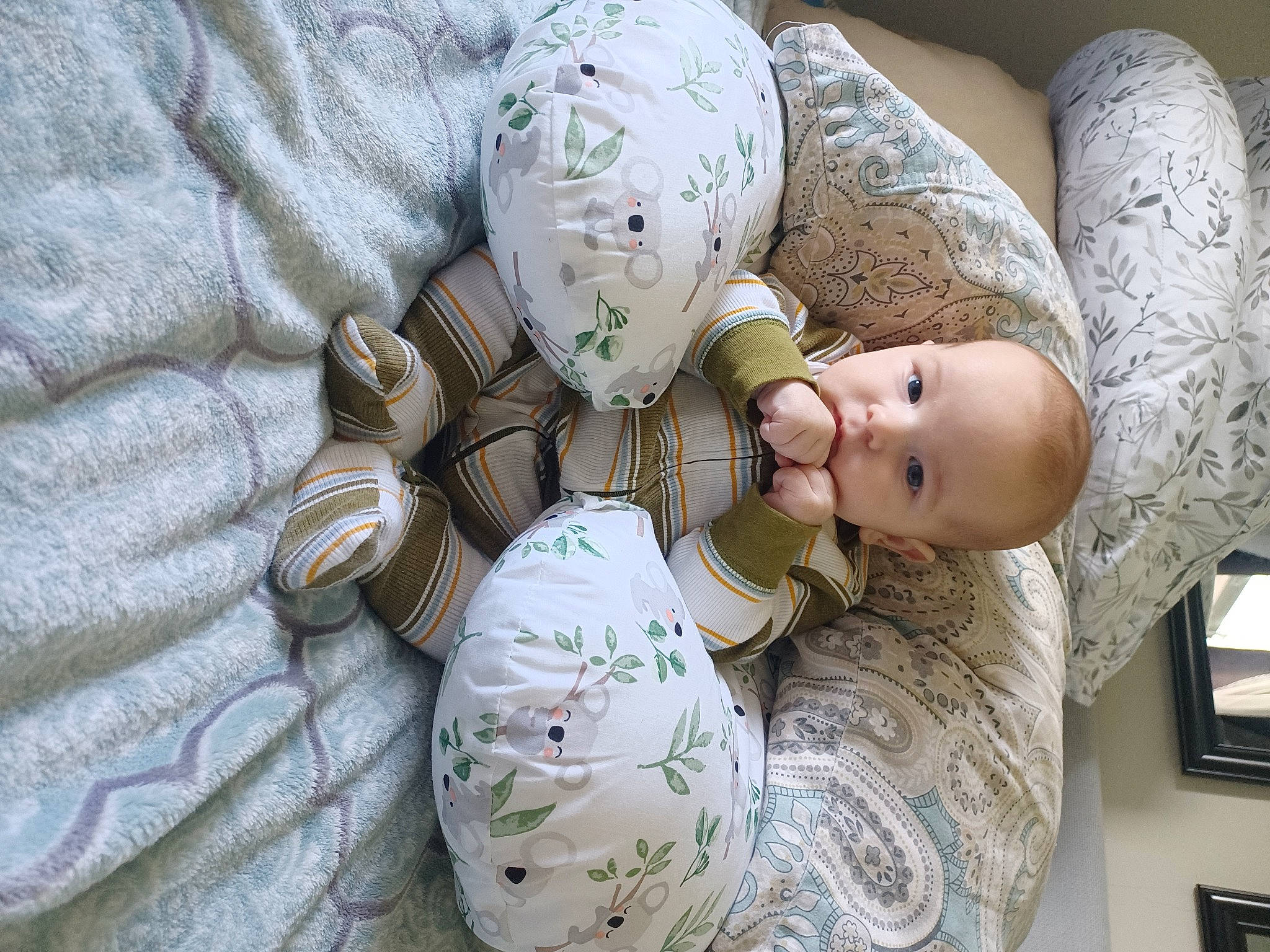 Reese joined the competition — help win amazing prizes! abdomen, baby, baby_products, baby_sleeping, baby_toddler_clothing, child, comfort, doll, glasses, hat, human_leg, linens, pattern, person, picture_frame, room, sitting, sunglasses, textile, thigh