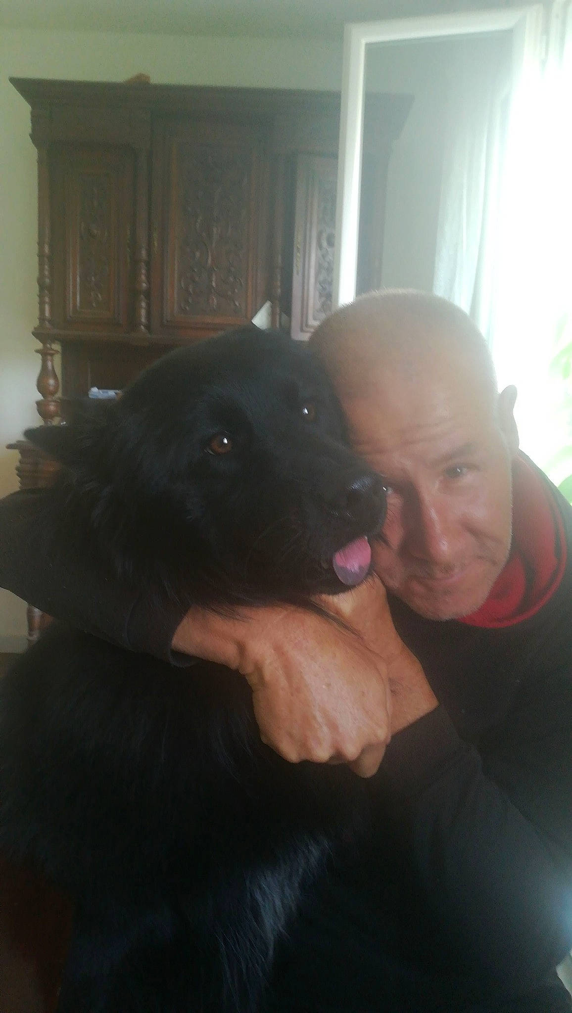 Rexo participe au concours pour gagner de l'argent avec cette photo : borador, canidae, carnivore, companion_dog, dog, dog_breed, ear, flat_coated_retriever, groenendael, guard_dog, labrador_retriever, mammal, nose, patterdale_terrier, puppy, retriever, sporting_group, vertebrate