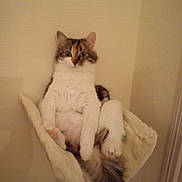 Sacha participe au concours pour gagner de l'argent avec cette photo :